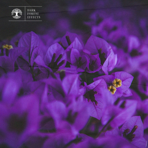 鳝鱼门的原版视频在线观看
