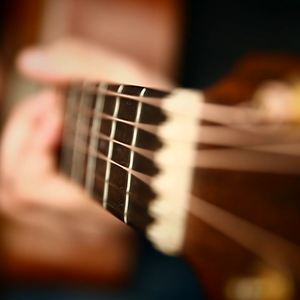 鳝鱼门的原版视频在线观看
